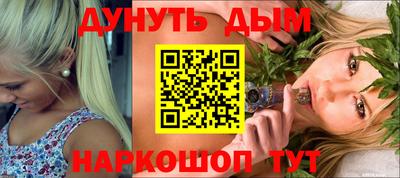 спиды Новодвинск