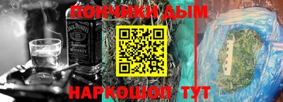 спиды Новодвинск
