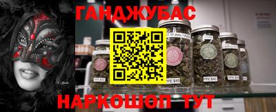 спиды Новодвинск