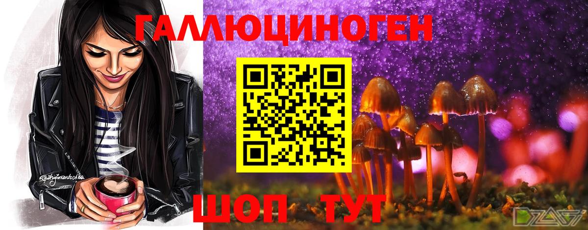 Урус-Мартан  Галлюциногенные грибы ЛСД  Вход с VPN 