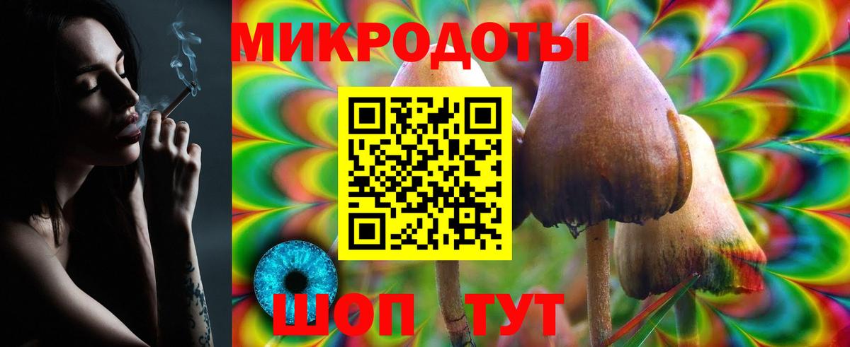 Галлюциногенные грибы прущие грибы Урус-Мартан
